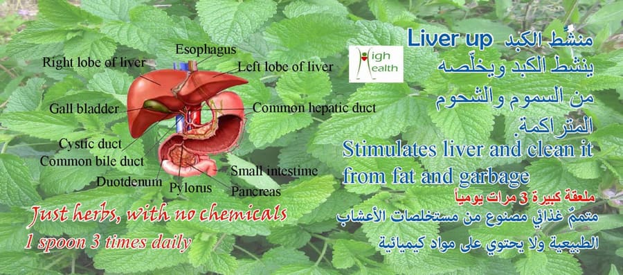 Liver Up