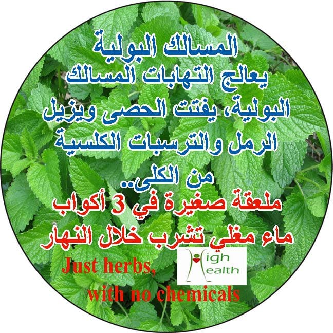 Urinary Tract