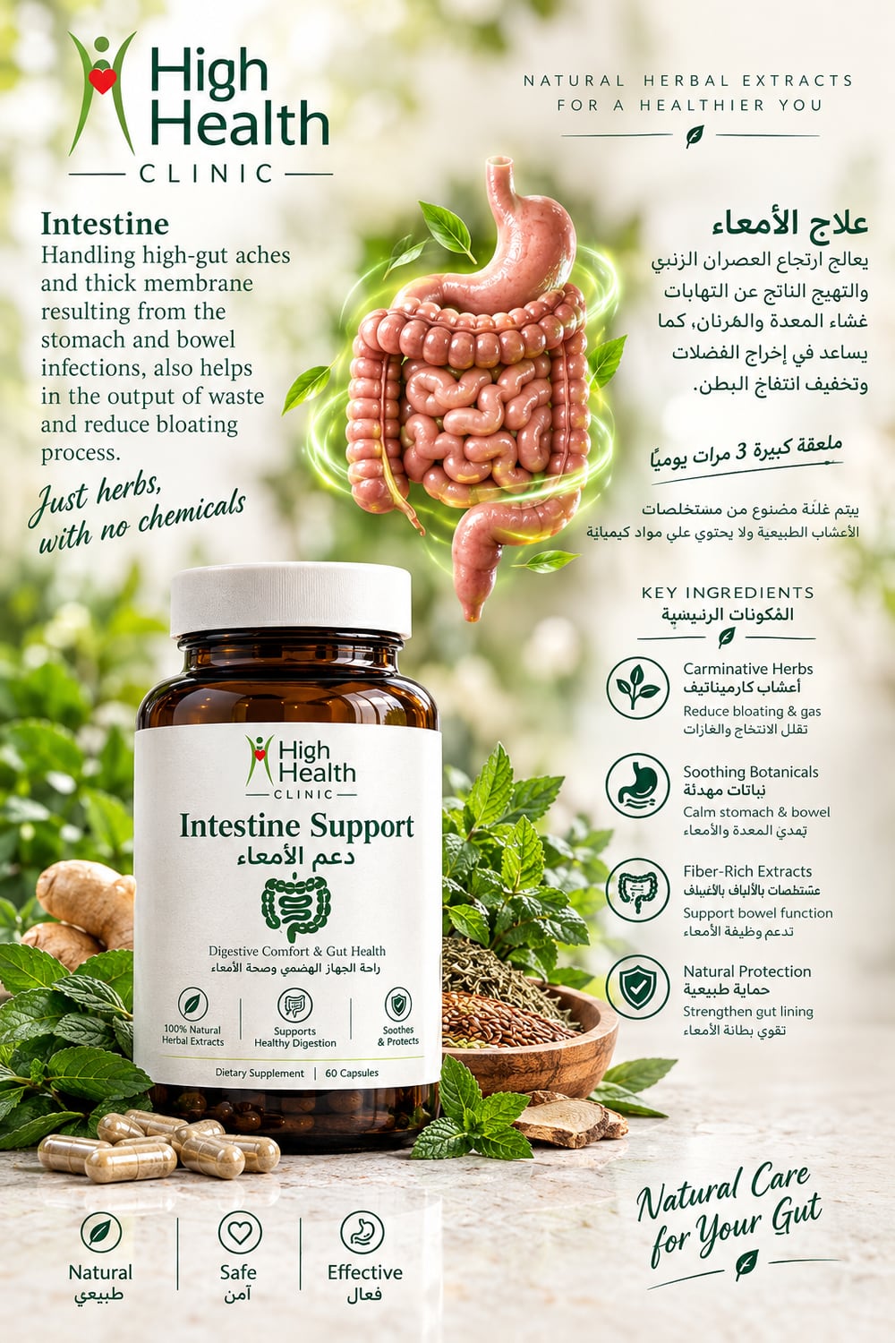 Intestine